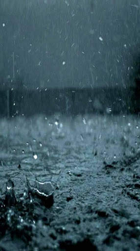 Rain Video Live Wallpaper screenshot 2