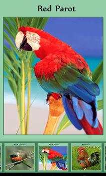 Birds Sound स्क्रीनशॉट 5