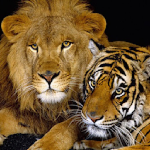 Animal Sounds icon
