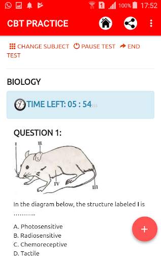 JAMB  CBT Special 2021 screenshot 3
