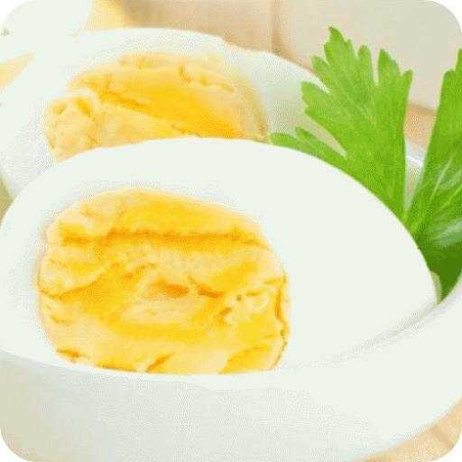 Egg Diet 1.0