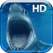Dangerous Big Shark Live icon