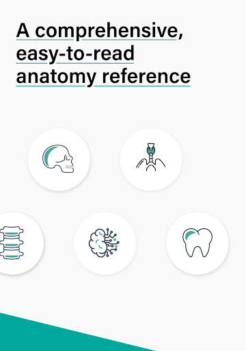 Teach Me Anatomy screenshot 3