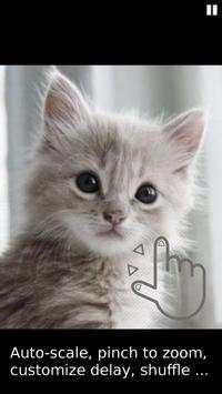 Simple Image Slideshow скриншот 4