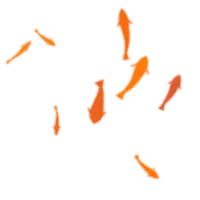 ikon Fish live wallpaper