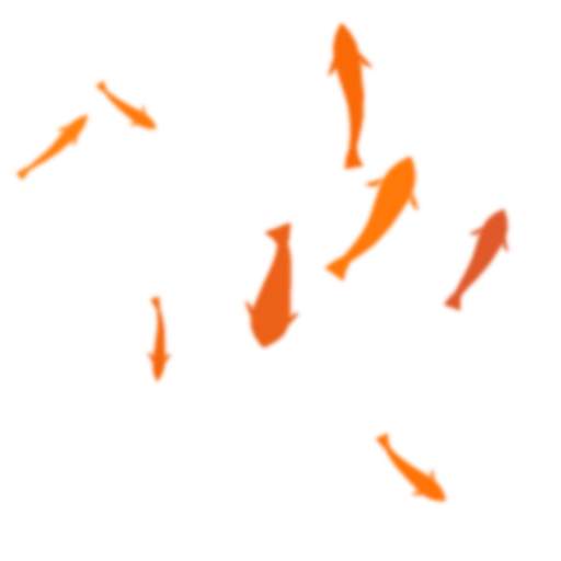 Fish live wallpaper 1.99