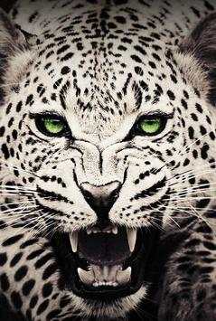 Wild Animals Wallpaper HD screenshot 2