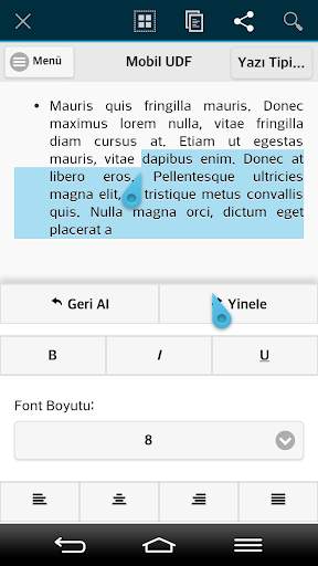 Mobil UDF screenshot 2