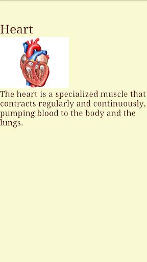 Human Body - Anatomy screenshot 4