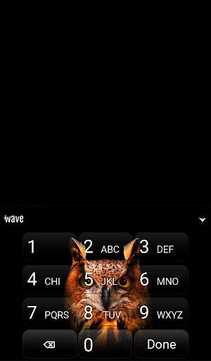 Owl Animated Keyboard   Live Wallpaper screenshot 4