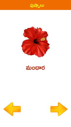 Telugu World Pillala Learning App screenshot 7