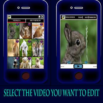 Video Downloader and Editor screenshot 4