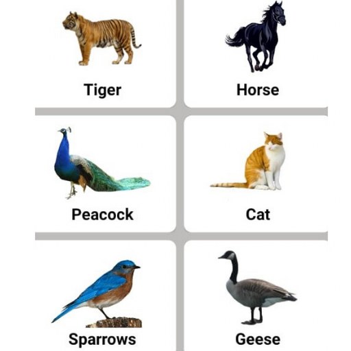 Animal Sounds and Alarms icon