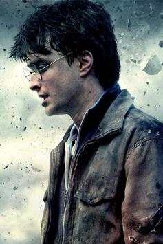 Harry Potter Live Wallpaper screenshot 5