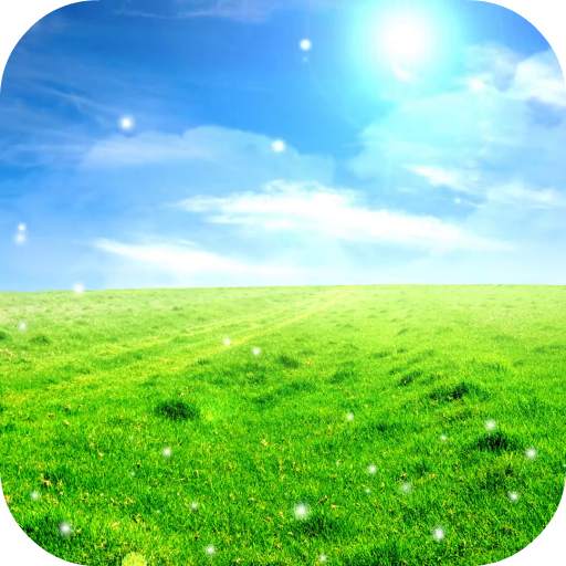 Landscape HD Video Wallpaper 9.0