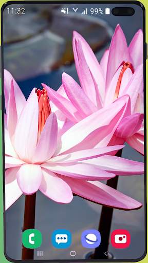 Flowers Wallpaper Best HD screenshot 6