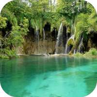 Waterfall Video Live Wallpaper logo