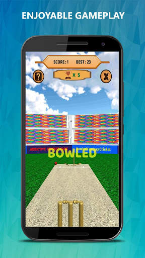 Bowled 3D - Cricket Game screenshot 2