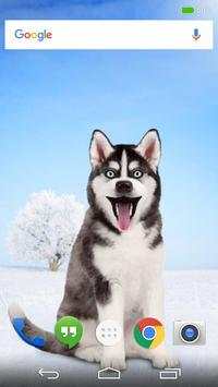 Dog screenshot 1