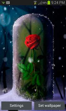 Rose Rough Live Wallpaper screenshot 1