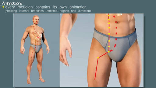 Easy Acupuncture 3D -LITE screenshot 5