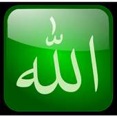 99 Names of Allah With Meaning icon