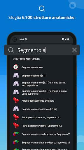 e-Anatomy screenshot 3