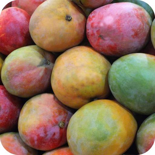 Mango Wallpaper 1.01
