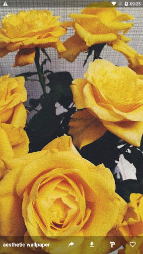 Aesthetic wallpaper screenshot 6