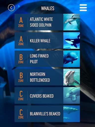 Whales of Iceland Audio Guide! screenshot 7