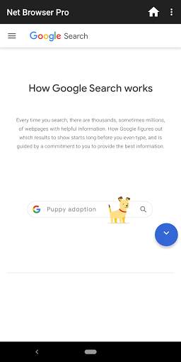 Net Browser Pro screenshot 1