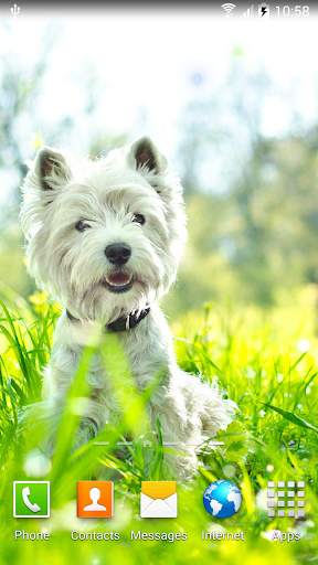 Dogs Wallpaper screenshot 6
