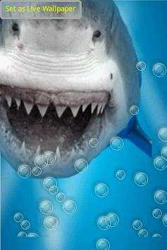Angry Shark Under Water Waves screenshot 1