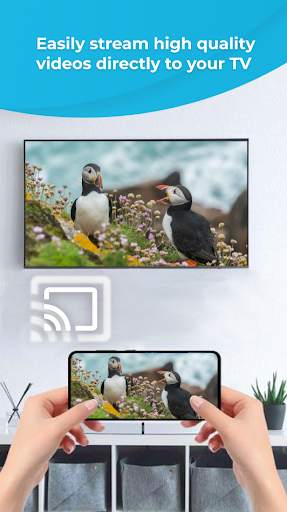 Stream Phone To TV, Mirroring screenshot 3