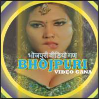 Bhojpuri Video All Songs Gana icon