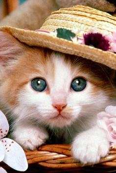 Wallpaper Cat HD 5 تصوير الشاشة