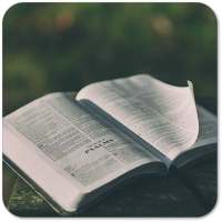 Daily Manna