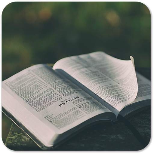 Daily Manna 1.0