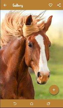 Horse Wallpapers screenshot 9