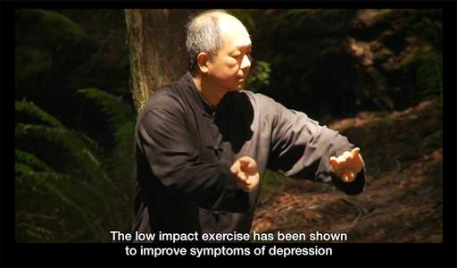 Yang Tai Chi Beginners Part 1 screenshot 2