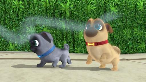 Puppy dog Run World PaLs screenshot 1