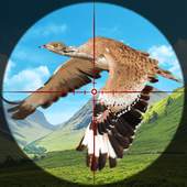 Taloor Hunter Birds Hunting 1.0.1