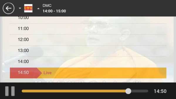 DMC screenshot 3