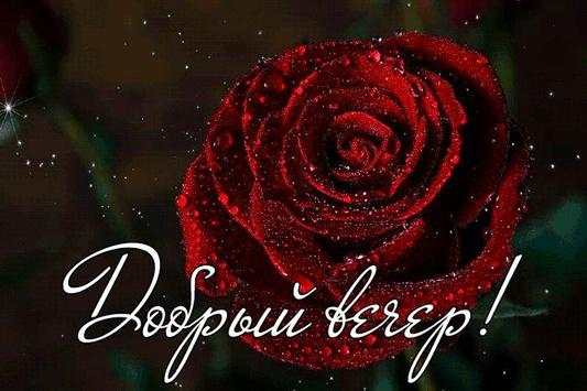 Добрый Вечер Открытки 10 تصوير الشاشة