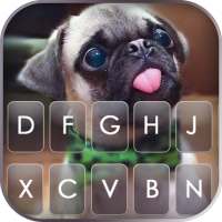 Cute Tongue Pug कीबोर्ड पृष्ठभूमि logo