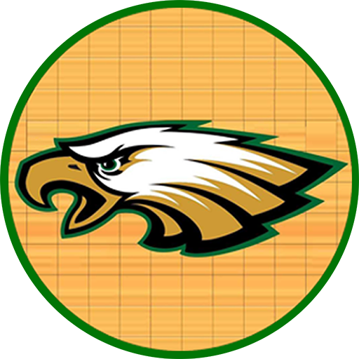 AIS icon