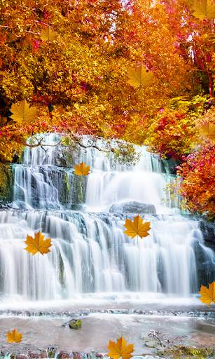 Fall Live Wallpaper screenshot 3
