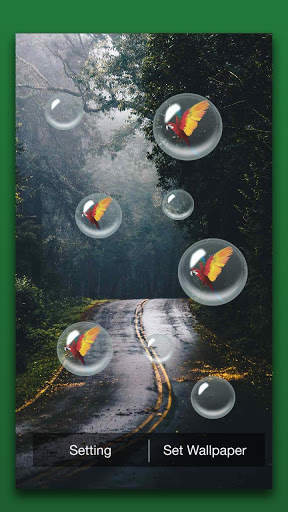 Rain Forest Live Wallpaper screenshot 2
