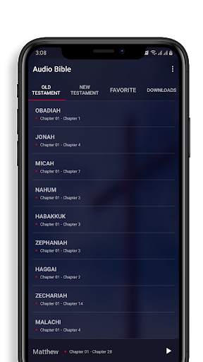 Nigerian bible Audio : Holy Bible English screenshot 6