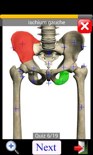 Anatomy Quiz screenshot 6